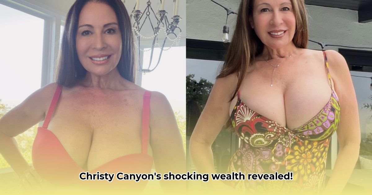 christy-canyon-net-worth